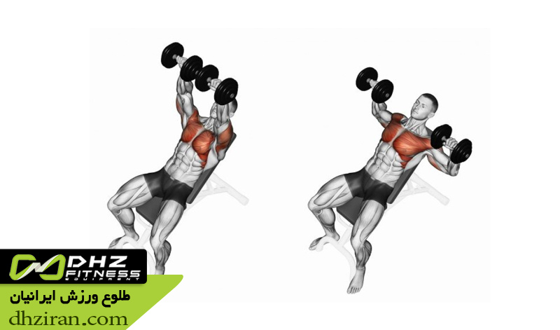 پرس سینه دمبل با شیب مثبت 